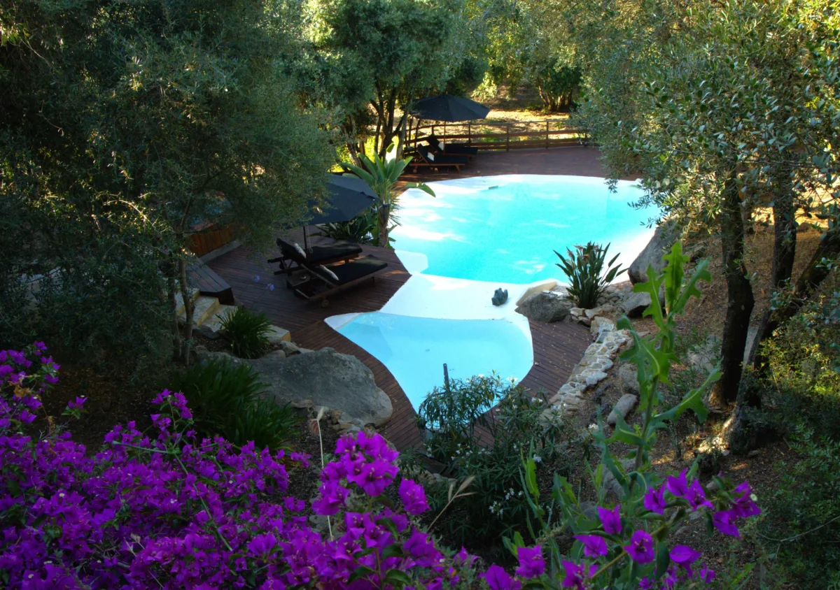 Piscine et jardin des hébergements A Vadina en Corse
